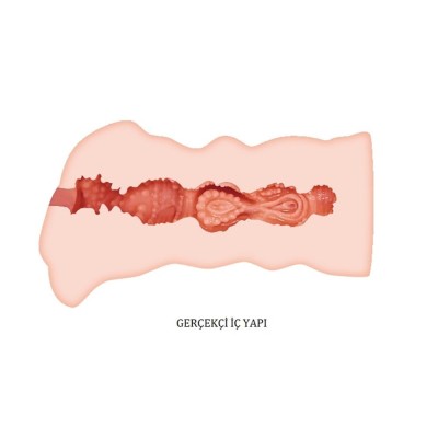 3 Boyutlu Gerçekçi Vajinal Masturbatör - Leila